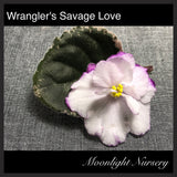 Wrangler's Savage Love
