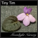 Tiny Tim
