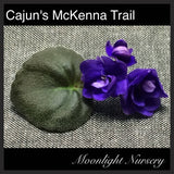 Cajun's McKenna Trail