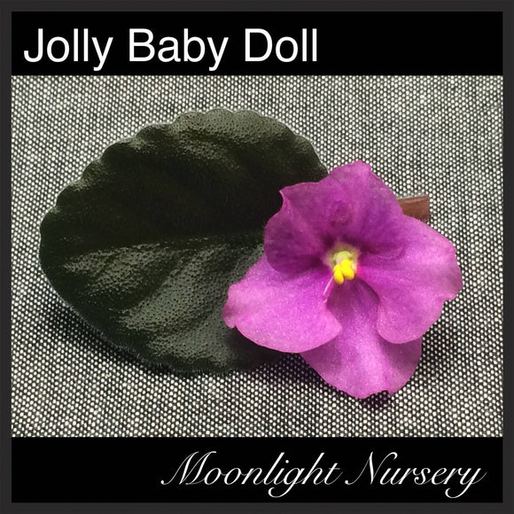 Jolly Baby Doll