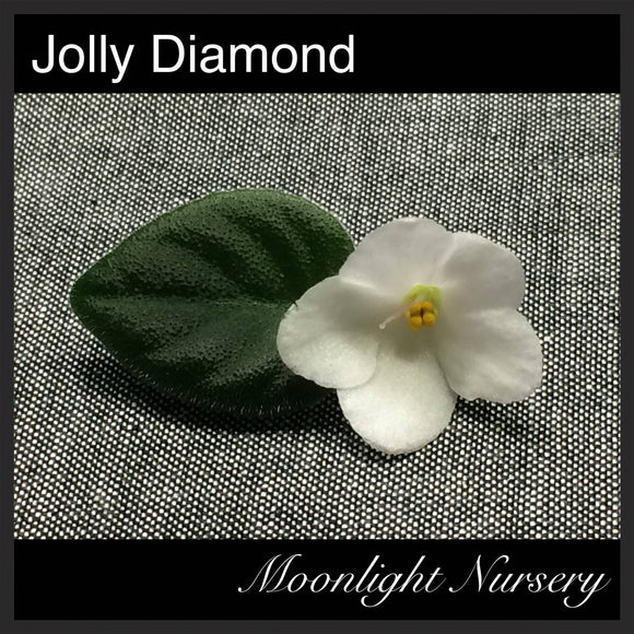 Jolly Diamond
