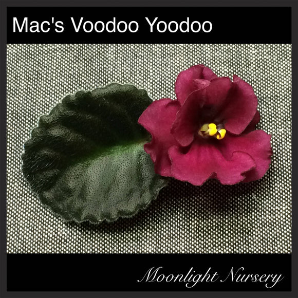 Mac's Voodoo Yoodoo
