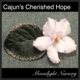 Cajun's Cherished Hope