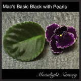 Mac's Basic Black with Pearls