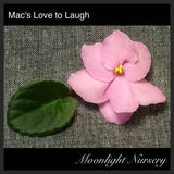 Mac's Love to Laugh