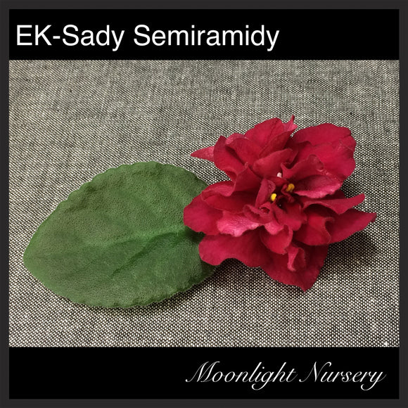 EK-Sady Semiramidy