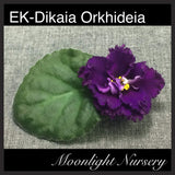 EK-Dikaia Orkhidei