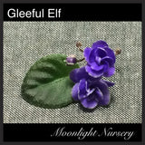 Gleeful Elf