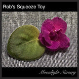 Rob's Squeeze Toy