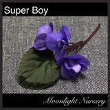 Super Boy