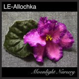LE-Allochka