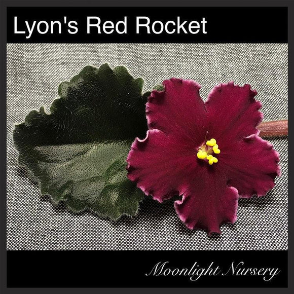 Lyon's Red Rocket