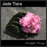 Jade Tiara